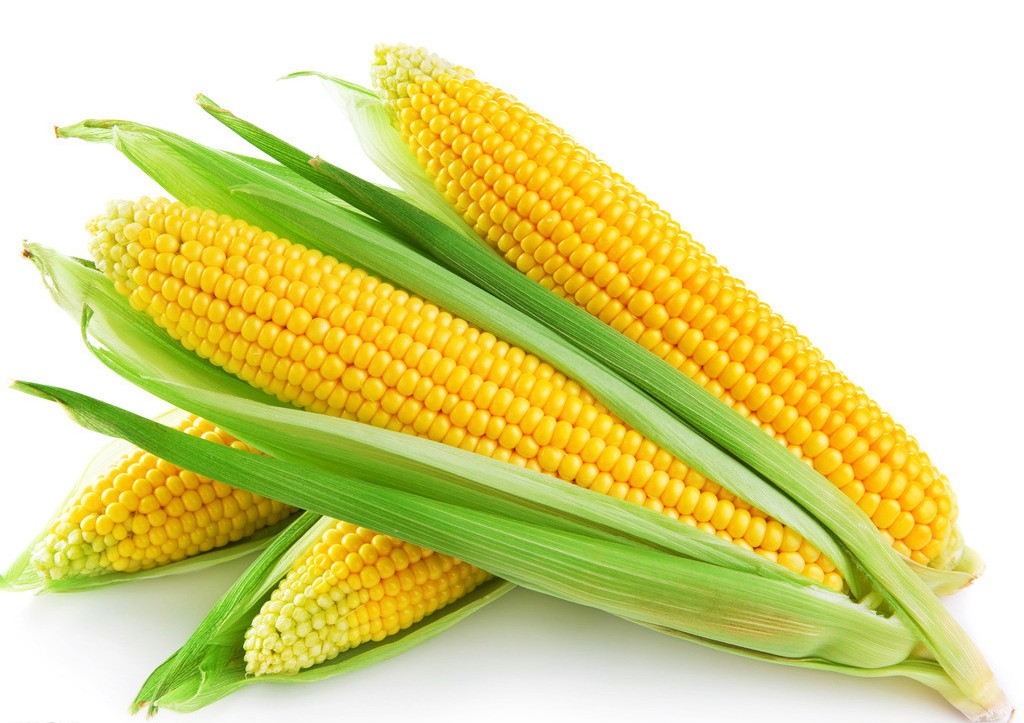 玉米-umshare聯合分享網